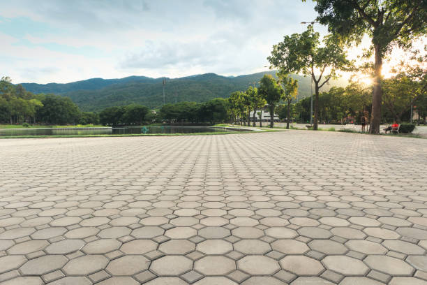 Best Best Driveway Pavers  in Black Mountain, NC